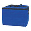 Non-Woven Six Pack Cooler Bag_Silk-Screen