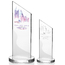 Frost Angular Award