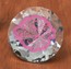 Medium Diamante Paperweight