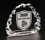 Small Iceburg Award