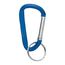 Small Carabiner Key Ring