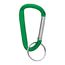 Small Carabiner Key Ring