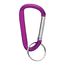 Small Carabiner Key Ring