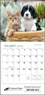 Puppies & Kittens - Mini