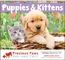 Puppies & Kittens - Spiral
