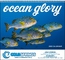 Ocean Glory - Spiral