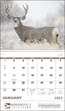 Wildlife Portraits - Spiral