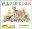 Wildlife Trek - Stapled