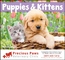 Puppies & Kittens - Stapled