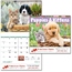 Puppies & Kittens - Stapled
