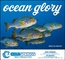 Ocean Glory - Stapled
