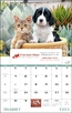 Puppies & Kittens - Window