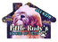 Full Color Digital Stock Shaped Magnets - House