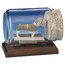 Business Card Sculpture - Bulldog