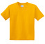 Gildan® Youth DryBlend® 50 Cotton/50 Poly T-Shirt