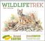 Wildlife Trek - Spiral