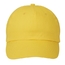 Price Buster Cap_Embroidered