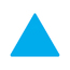 Special Shapes Roll Label | Triangle | 7/8